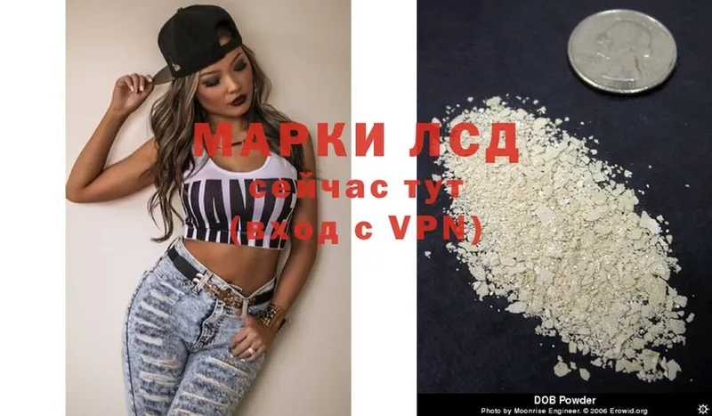 купить закладку  Канаш  Лсд 25 экстази кислота 