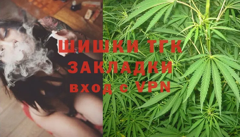 Бошки Шишки SATIVA & INDICA  где найти наркотики  Канаш 